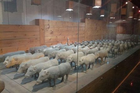 Private Day Trip to Terracotta Warriors and Jingdis Tomb