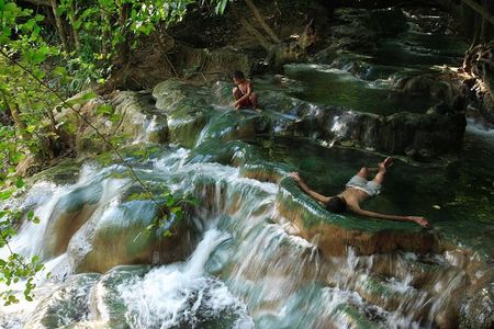 Half Day Jungle Tour to Emerald pool and Krabi Hot Spring