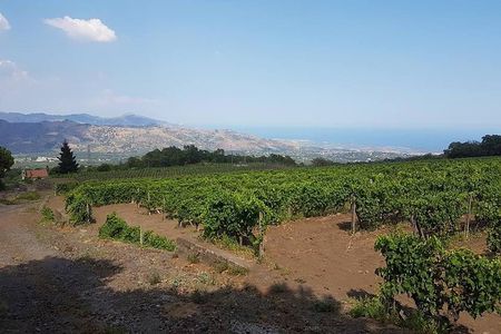 Wine Experience & Taormina Tour From Messina with Luxury Van