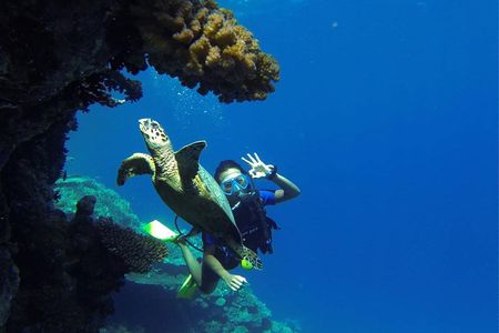 Scuba Diving 2 Stops Boat Trip for beginners & Lunch :Marsa Alam