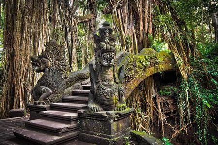 All-Inclusive Ubud Private Tour with Hotel Transfer