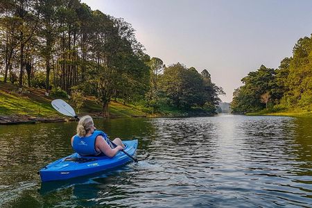 From San Pedro Sula: Yojoa Lake Area Day Trip