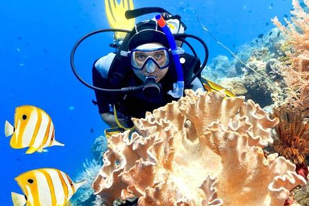 PADI Advanced Diving Course With Transfer and Lunch - Hurghada