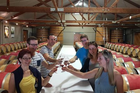 Shore Excursion Marlborough Wine Region Tour from Picton