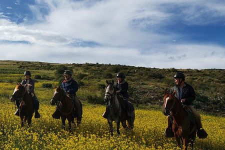 Horseback Riding Tour to the Devil's Balcony from Cusco