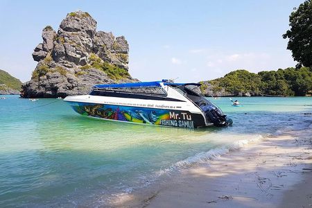 Mr. Tu Day Trip to Angthong Marine Park by Speed Boat from Koh Samui