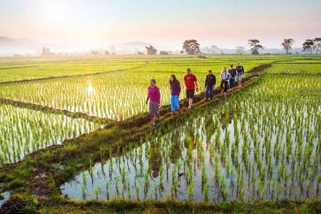 Bali Sambangan Waterfall, Rice Field, Secret Garden Tour