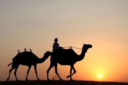 Desert Safari Dubai