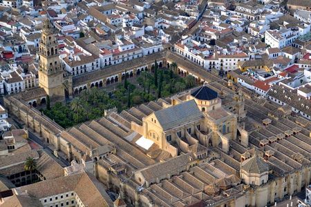 Full-Day Cordoba Tour from Granada: Mezquita Visit Included