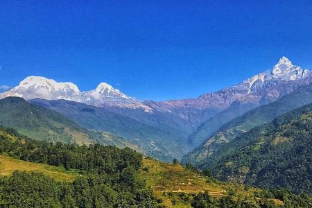 10 Days Kathmandu Chitawan Pokhara Tour with Dhampus Trek
