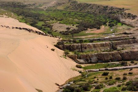 Walk between Argan Forest, Ocean & Waterfalls. 12 km