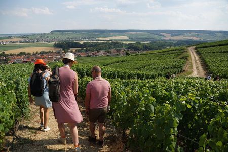 Gourmet walk in the heart of the vineyards with Champagne tasting near Epernay
