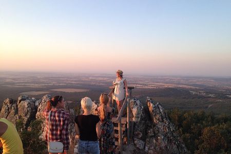 Ribera del Duero Winery Guided Tour and Wine Tasting from Madrid