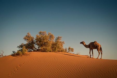 4 Days Merzouga Desert from Marrakech