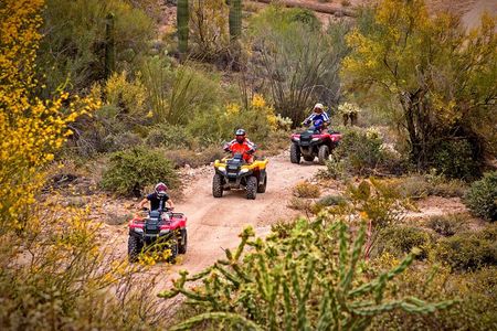 Guided Arizona Desert Tour by ATV