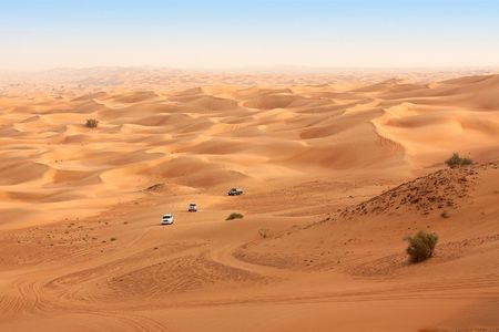 Liwa Full Day Desert Safari from Abu Dhabi
