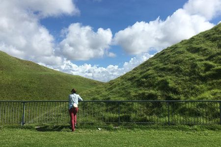 Shore Excursion: Half-Day Auckland Volcanoes Tour