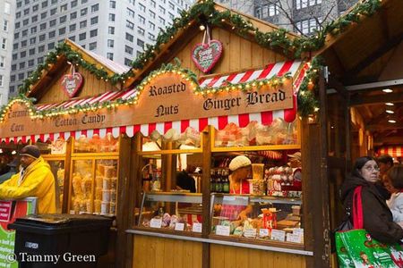 Chicago-Style Holiday Hike: Festive Food and Walking Tour