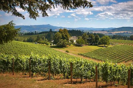 Willamette Valley Wine Tasting Tour from Portland