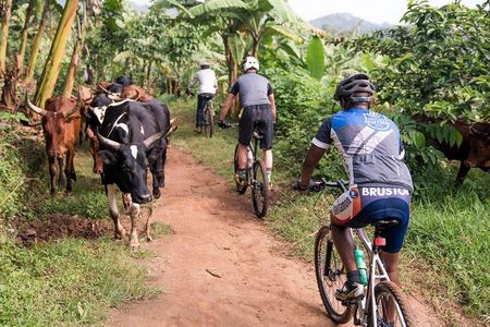 Lake Victoria Island Cycling Tour from Kampala