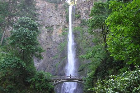 Gorge Explorer - Multnomah Falls & Beyond - PDX08