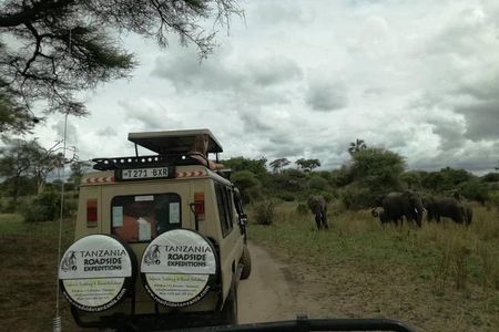 3 Days Safari to Tarangire, Ngorongoro & Lake Manyara parks