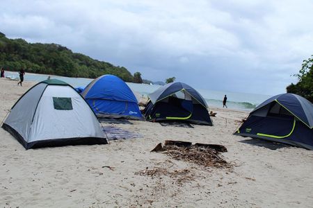 "1-Day Hike & Camp with Turtle Watching at Paria Bay"