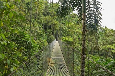 10-Day Essential Costa Rica Tour with Guanacaste