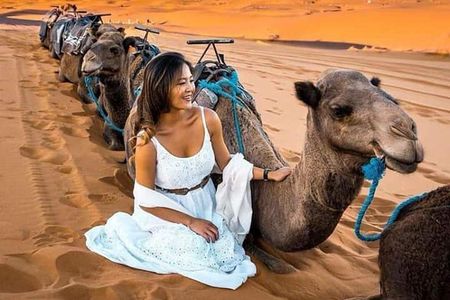 Luxury Overnight From Fez To Merzouga 