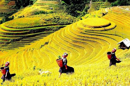 Sapa 2 Days Trek with 1 Night Homestay