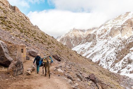  Atlas mountains and Berber villages including Lunch and Camel Ride