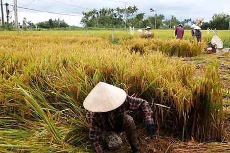 Hoi An Countryside By Bike