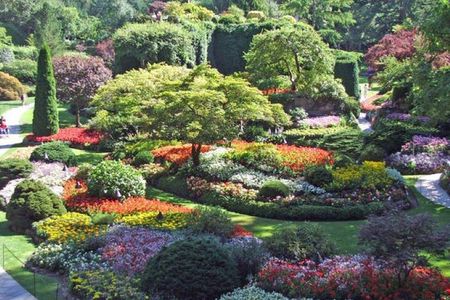 Butchart Gardens and City Tour