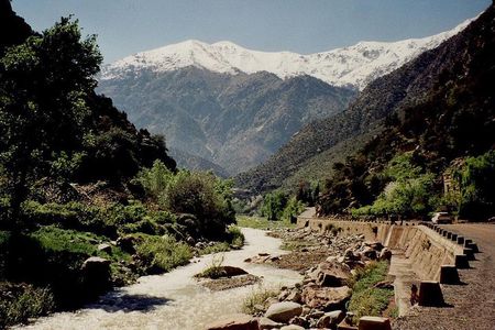 Private Full Day Tour in Ourika Valley and Atlas Mountains 