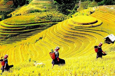 Sapa 2 Day Trekking with 1 Night Homestay