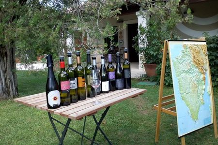 A Sample Of Wine, A Sample Of Istria - A Short But Fulfilled Program