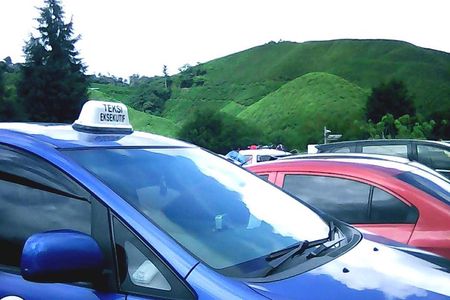 Cameron Highland Private Day Tour