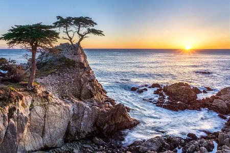 Full Day Tour from San Francisco