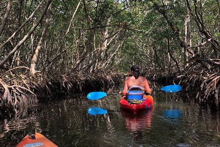 Mangrove Tunnels Pedal Kayak Eco-Tour in Anna Maria
