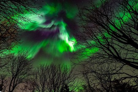 Golden Circle & Northern lights in Iceland
