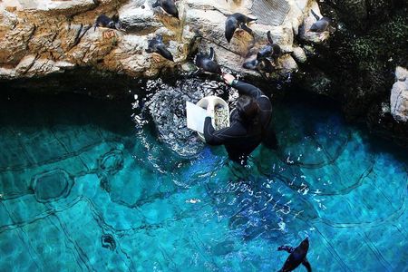 New England Aquarium Admission Ticket