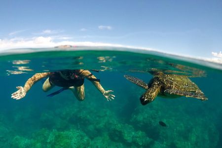 Paddle, Snorkel and Learn to Surf: All in a Day on Maui