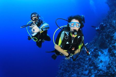 Diving for Certified Divers, 2 Tanks Sosúa Bay