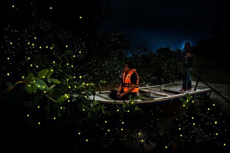Kuala Selangor Firefly & Batu Caves Tour include Dinner+Boat-Ride