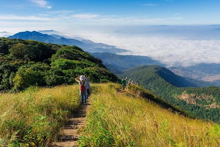 Doi Inthanon National Park with Nature Trail Trekking 1-Day Tour