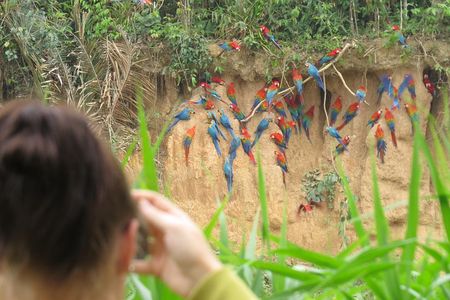 Best of Tambopata 3 nights by JunglePro