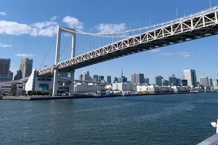 1-Day Private Tokyo Tour with Licensed Commercial Vehicle