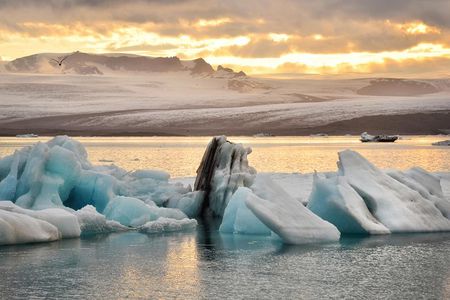 Glacier Lagoon & Fjaðrárgjúfur Canyon Group Tour from Reykjavik