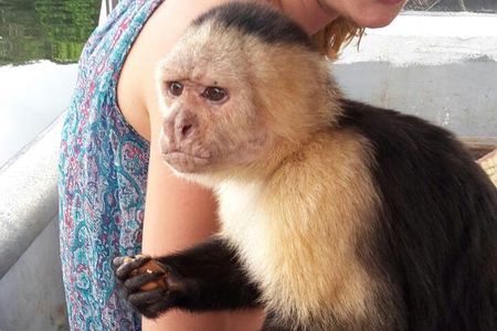 Full-Day Gatun Lake and Indian Village Tour from Panama City