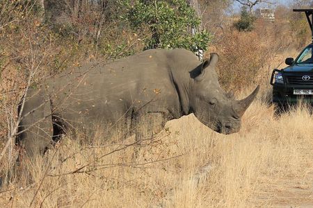3 Day All Incl. Private Kruger Park Safari Incl. Transfer From Johannesburg